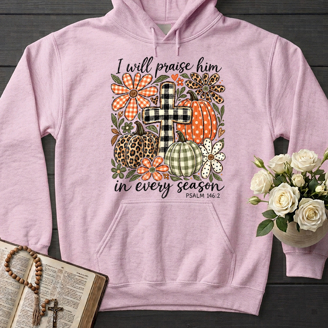 I Will Praise Him In Every Season Psalm 146.2 74