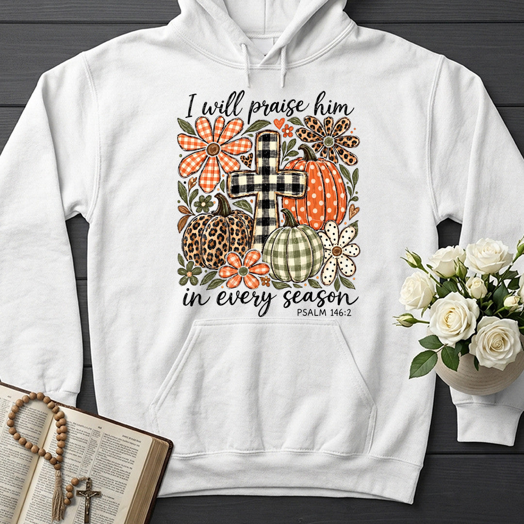 I Will Praise Him In Every Season Psalm 146.2 74