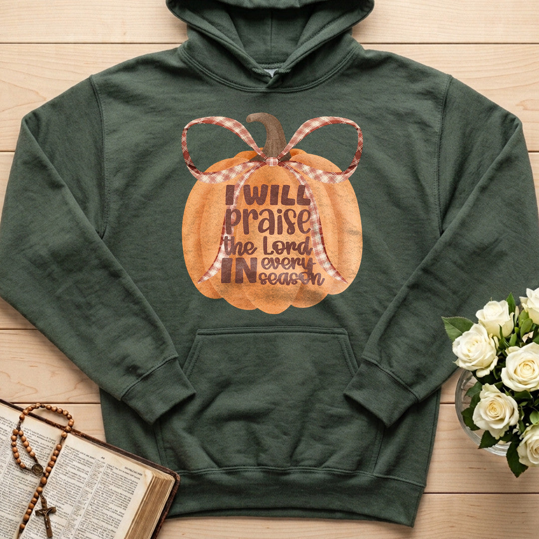 I Will Praise The Lord In Every Season 01