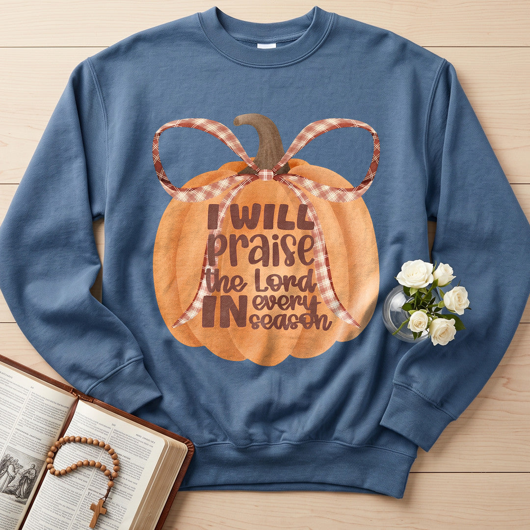 I Will Praise The Lord In Every Season 01