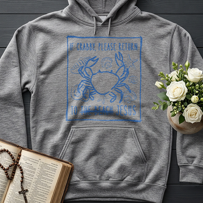 If Crabby Please Return To The Beach Jesus 02