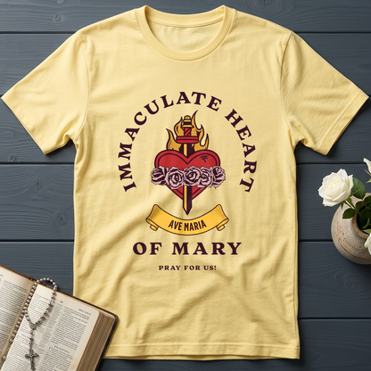 Immaculate Heart Of Mary Pray For Us 01