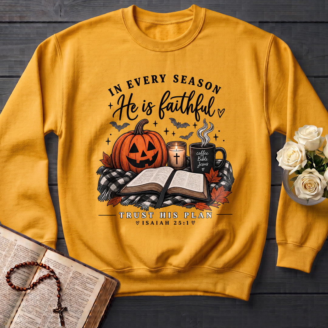 In Every Season He Is Faithful Trust His Plan Isaiah 25.1 01