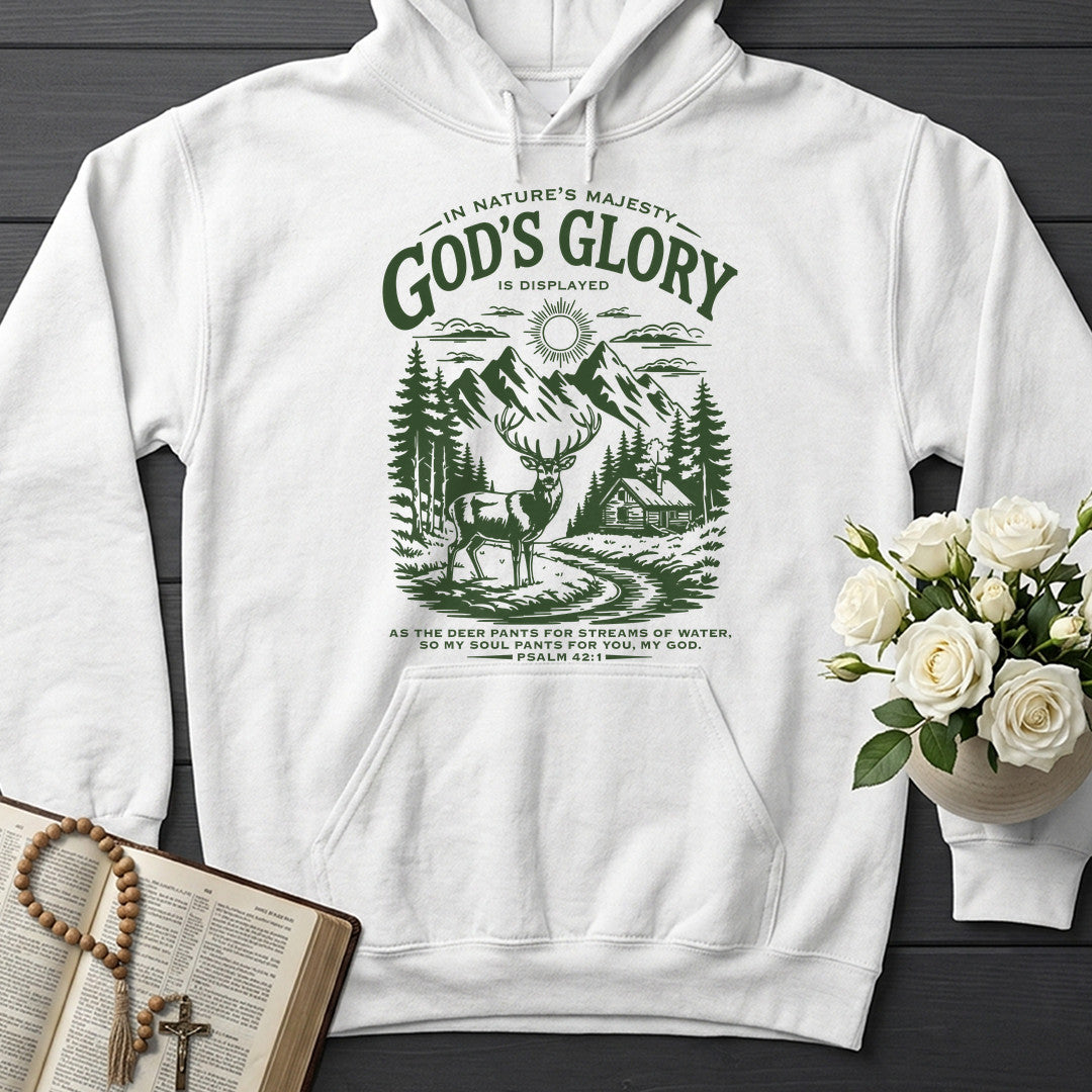 In Nature's Majesty God's Glory Is Displayed 01