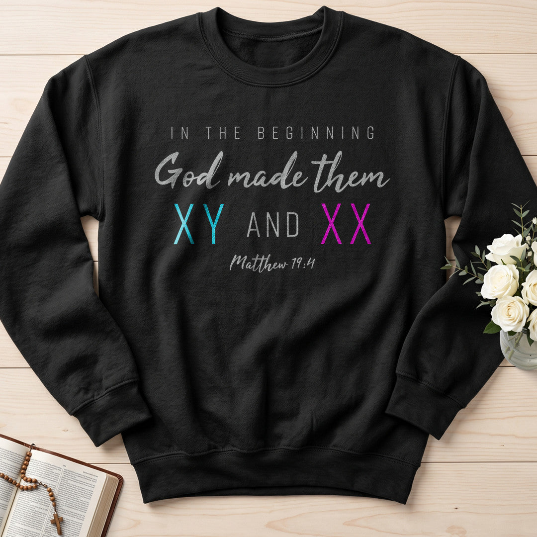 In The Beginning God Made Them Xy And Xx Matthew 19.4 01