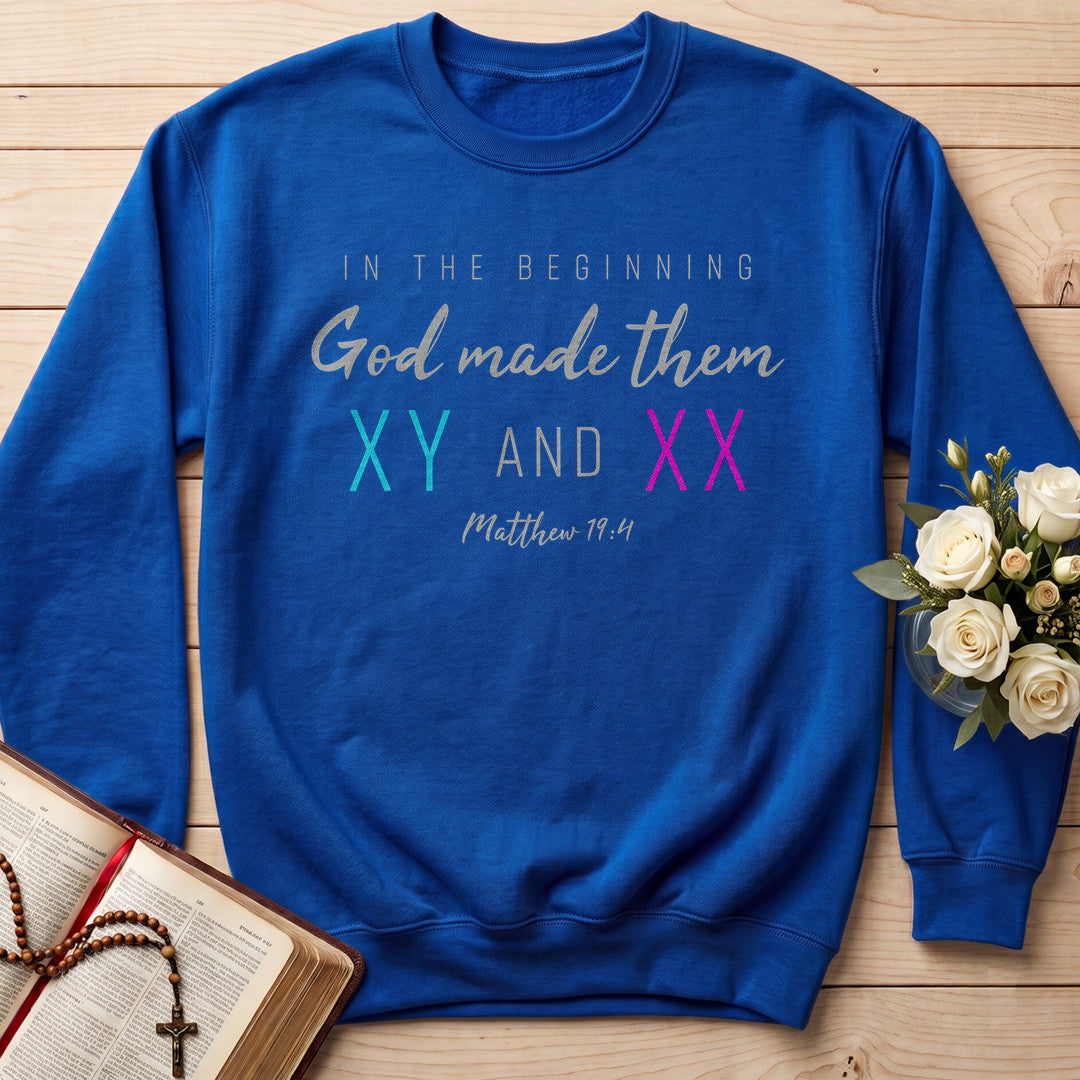 In The Beginning God Made Them Xy And Xx Matthew 19.4 01