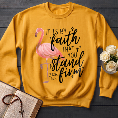 It Is By Faith That You Stand Firm 2 Cor. 1.24 01