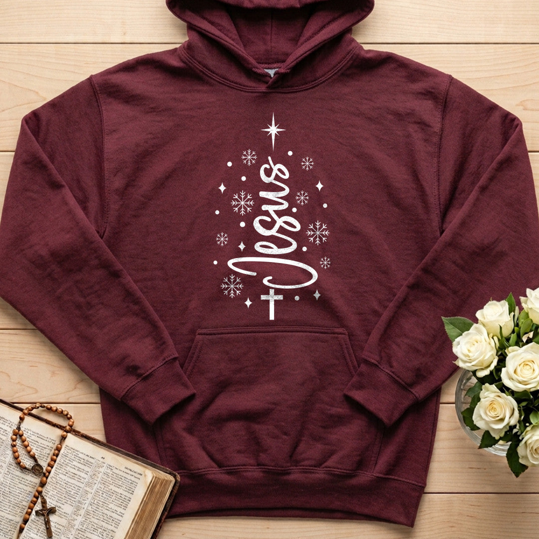Jesus 09