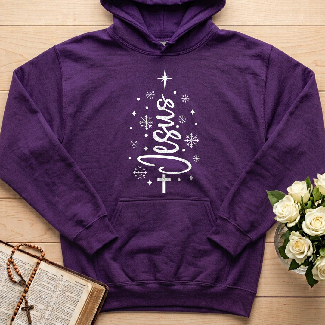 Jesus 09