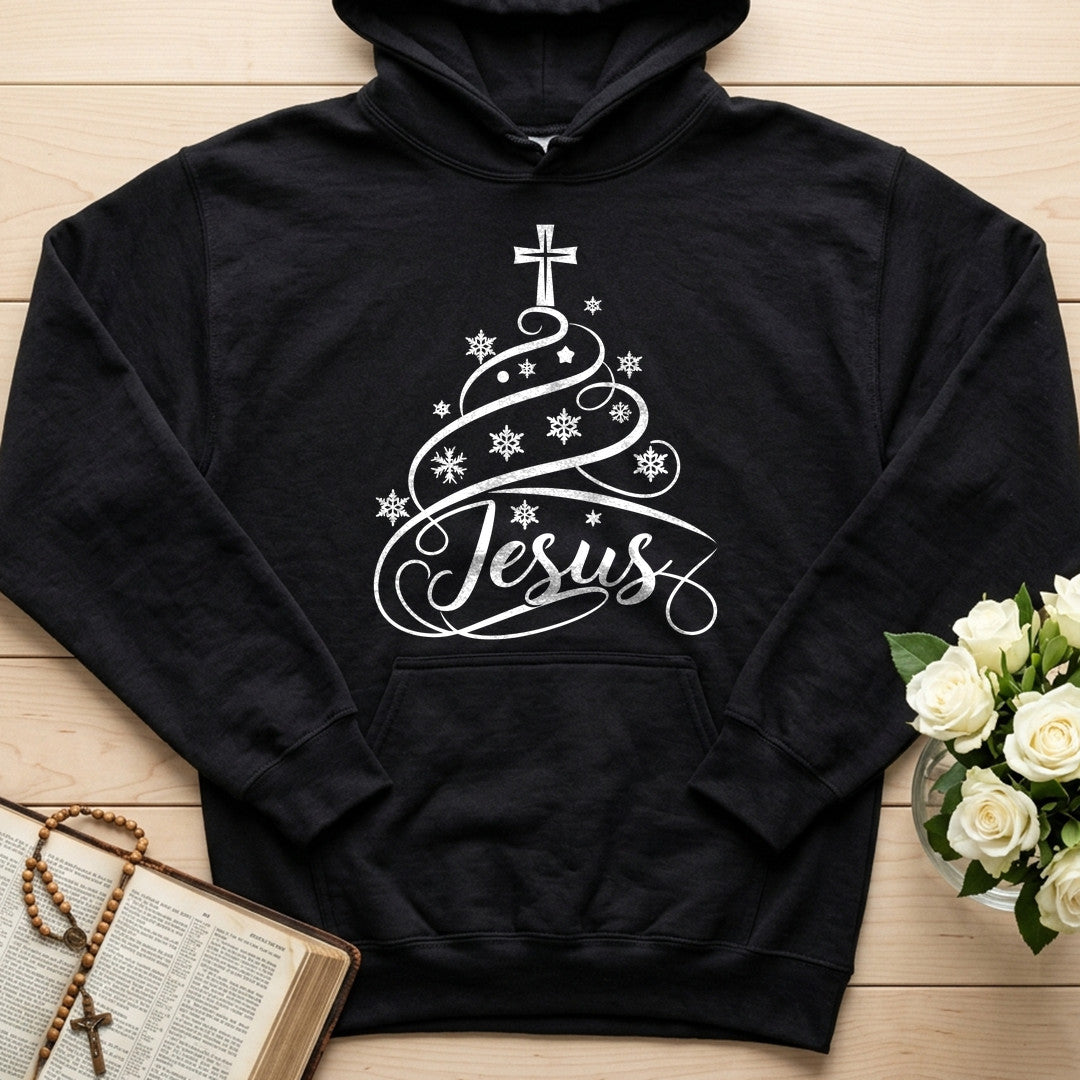 Jesus 13