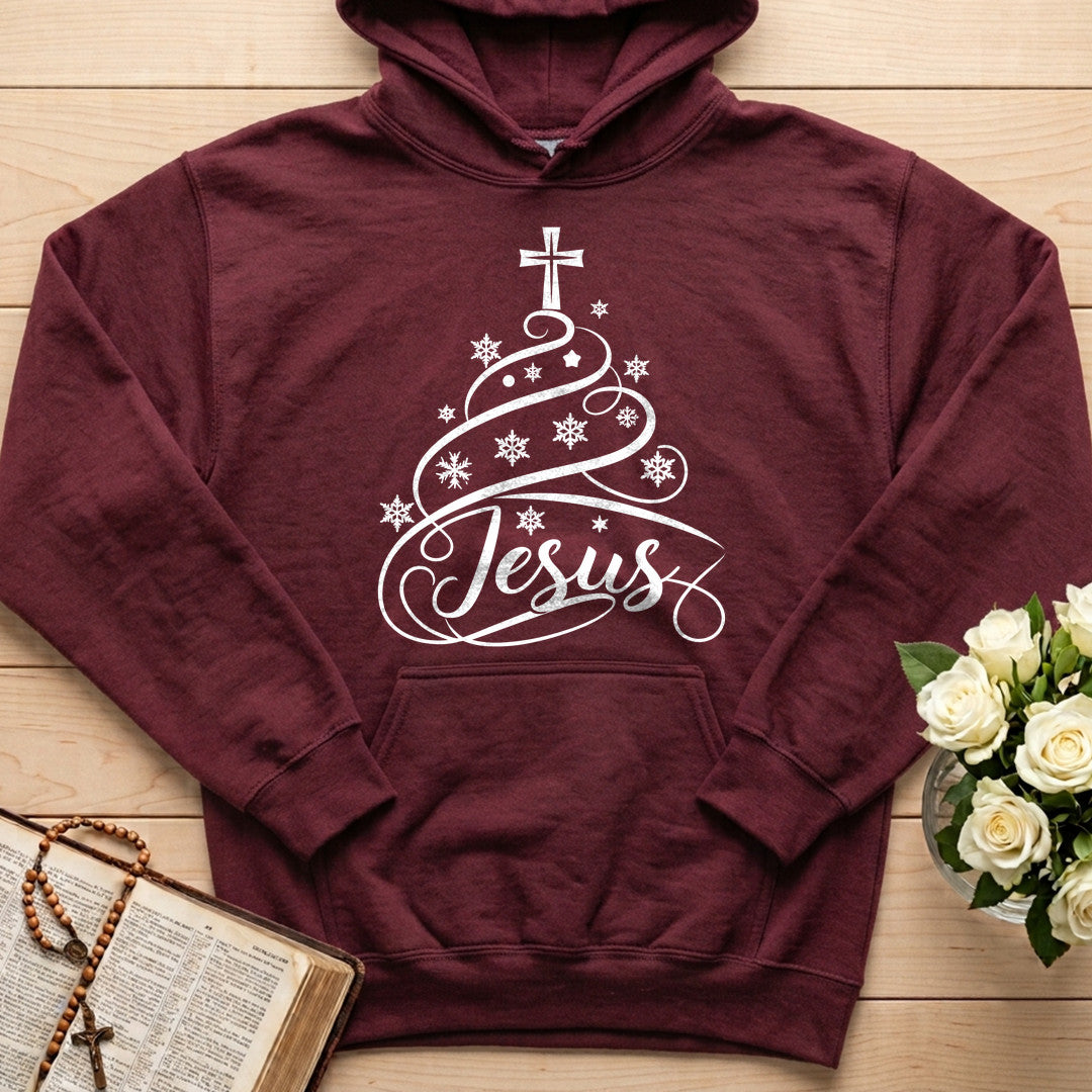 Jesus 13