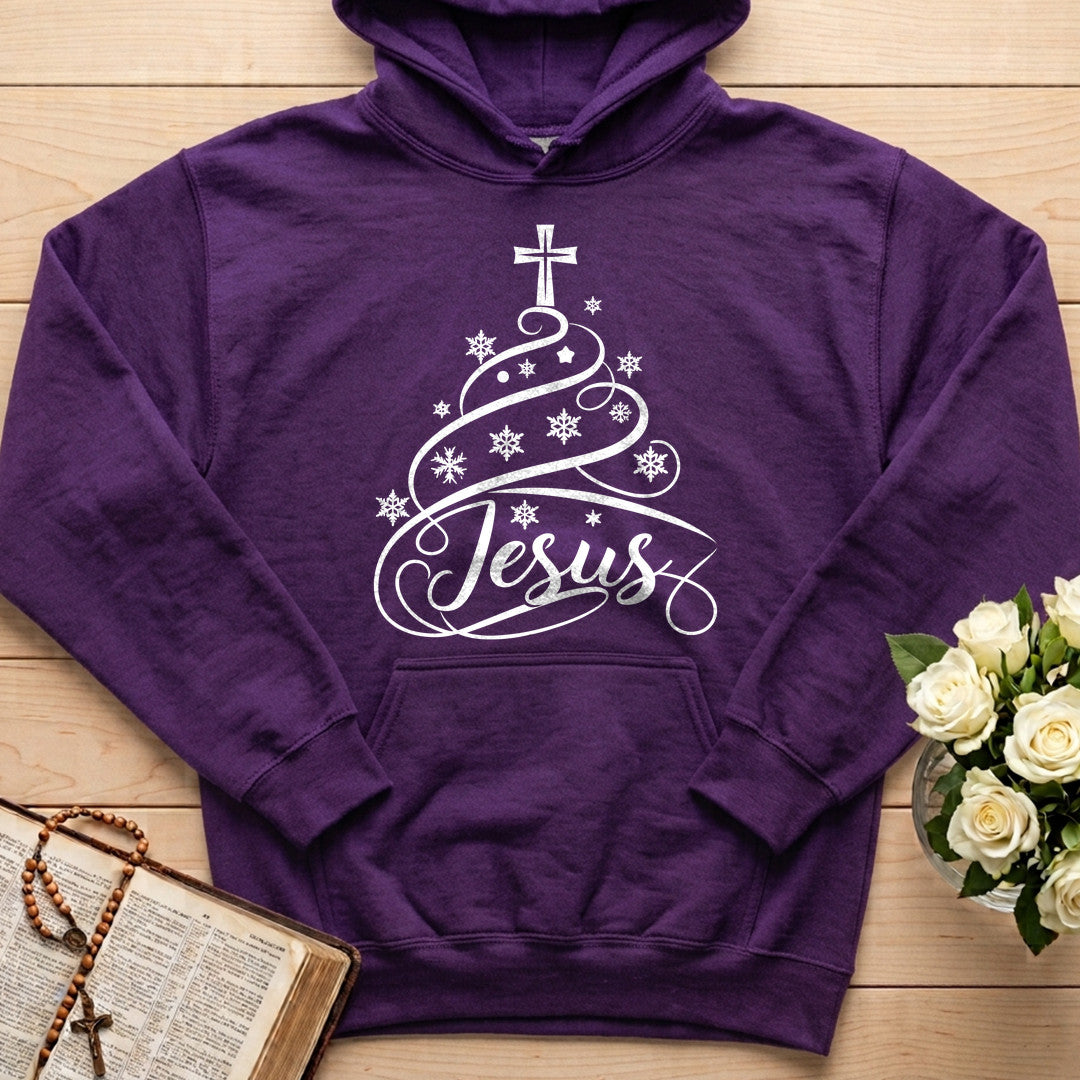 Jesus 13