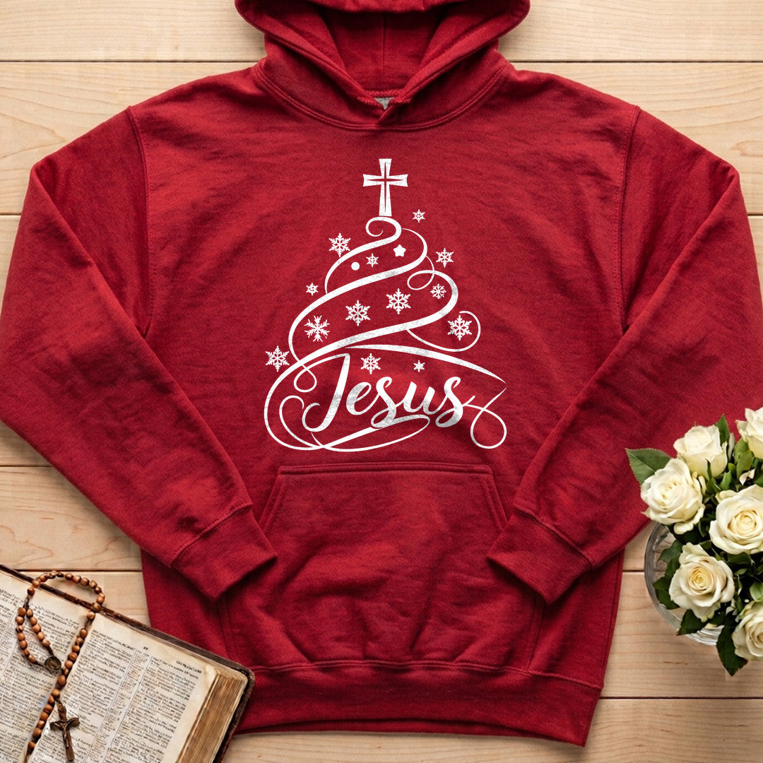 Jesus 13
