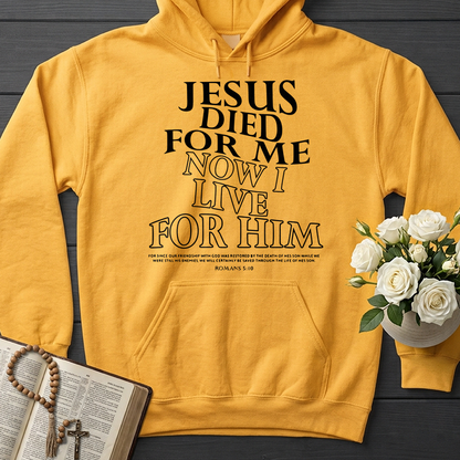 Jesus Died For Me Now I Live For Him 02