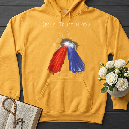 Jesus I Trust In You 08