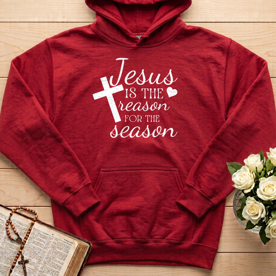 Jesus Is The Reason For The Season 71