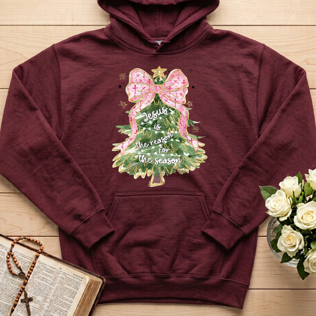 Jesus Is The Reason For The Season 80