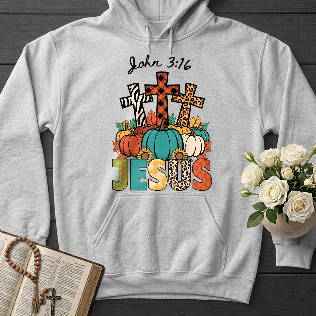 Jesus John 3.16 01