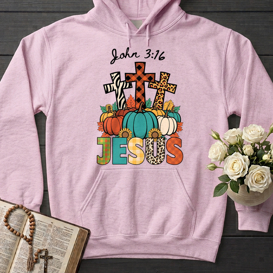 Jesus John 3.16 01