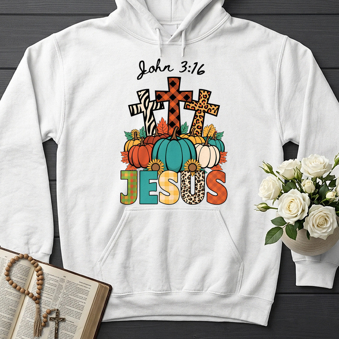 Jesus John 3.16 01