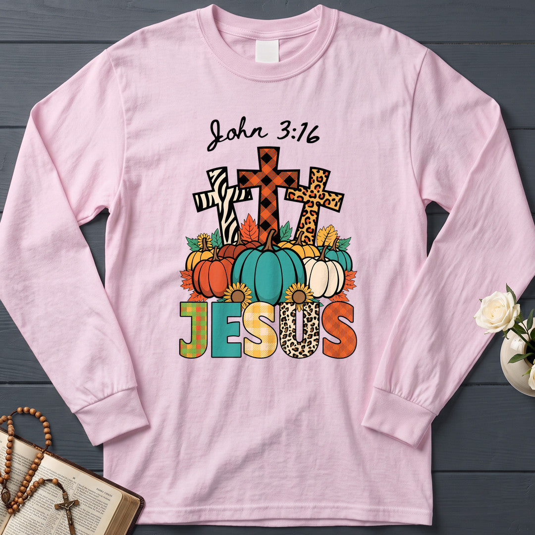 Jesus John 3.16 01