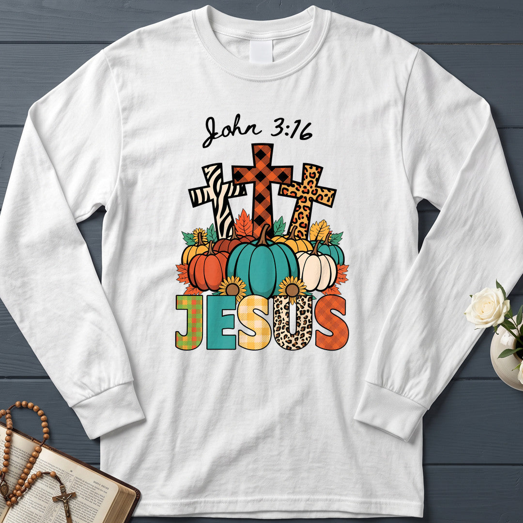 Jesus John 3.16 01