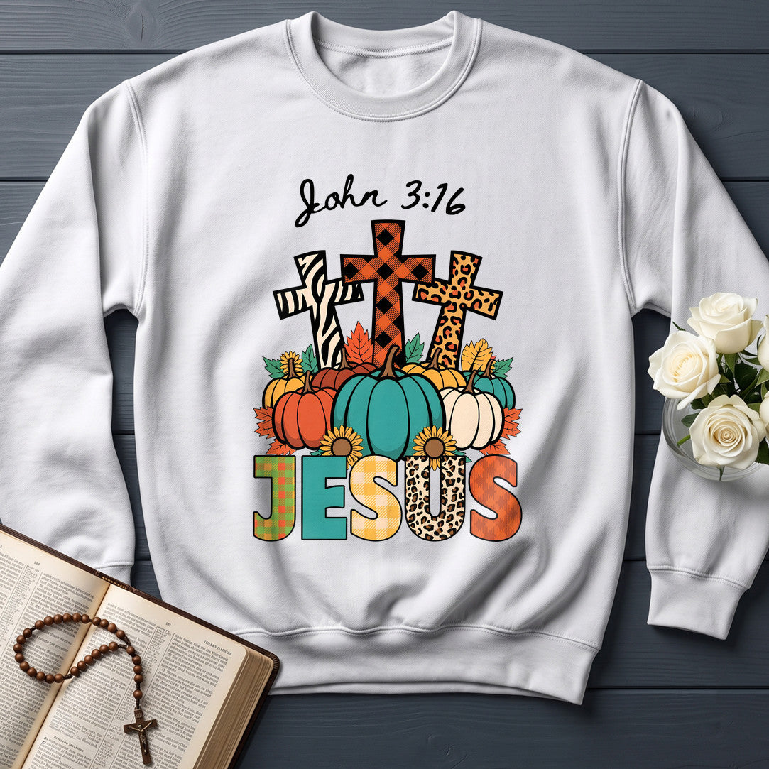 Jesus John 3.16 01