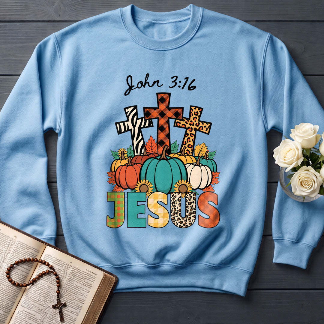 Jesus John 3.16 01