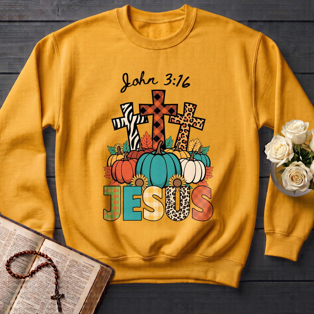 Jesus John 3.16 01