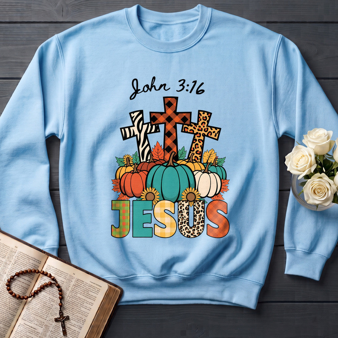 Jesus John 3.16 01