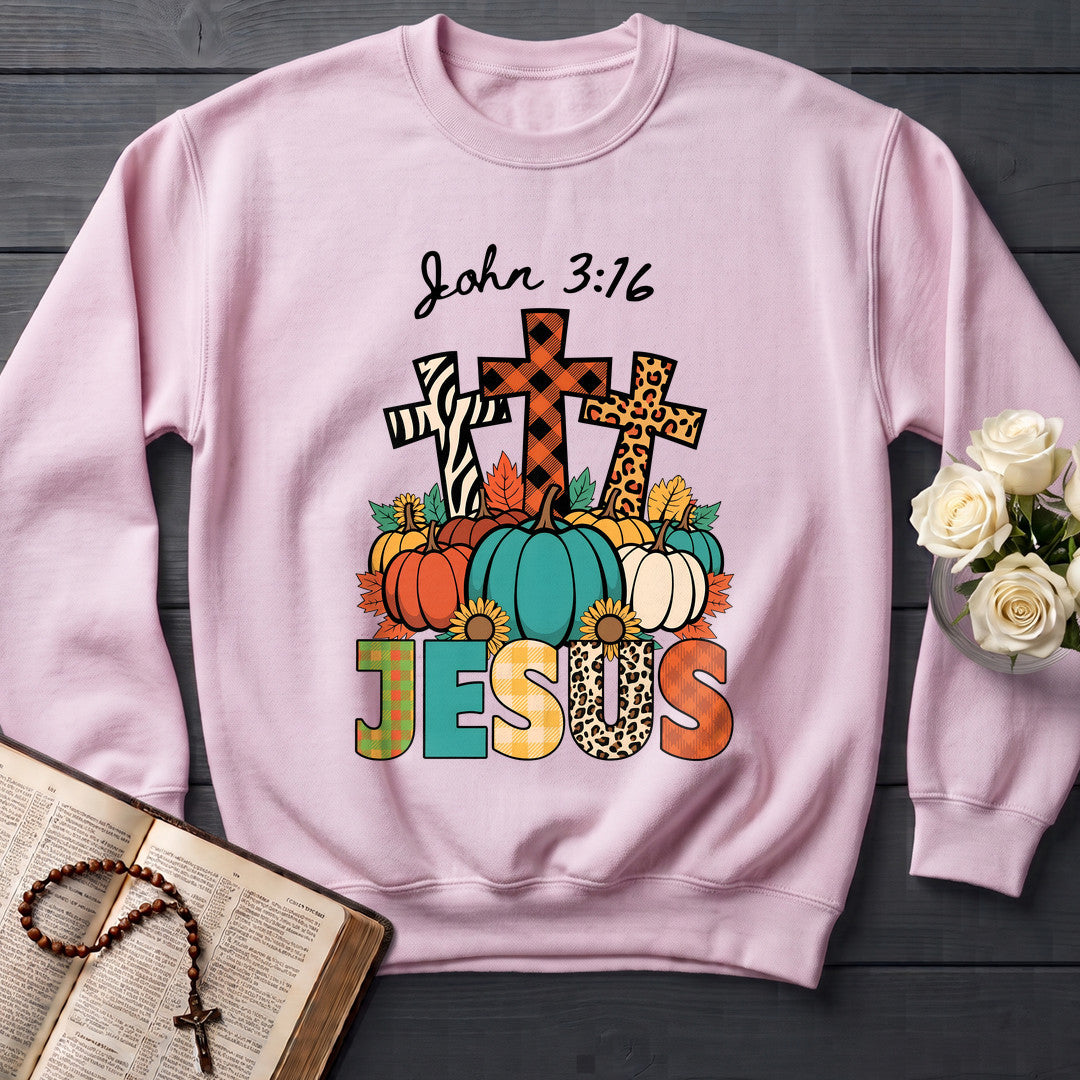 Jesus John 3.16 01