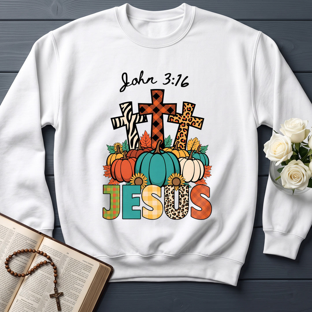 Jesus John 3.16 01