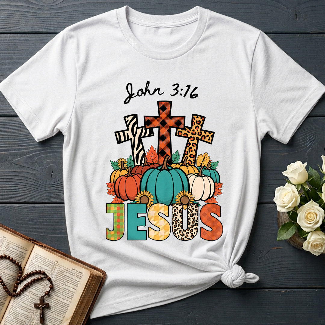 Jesus John 3.16 01