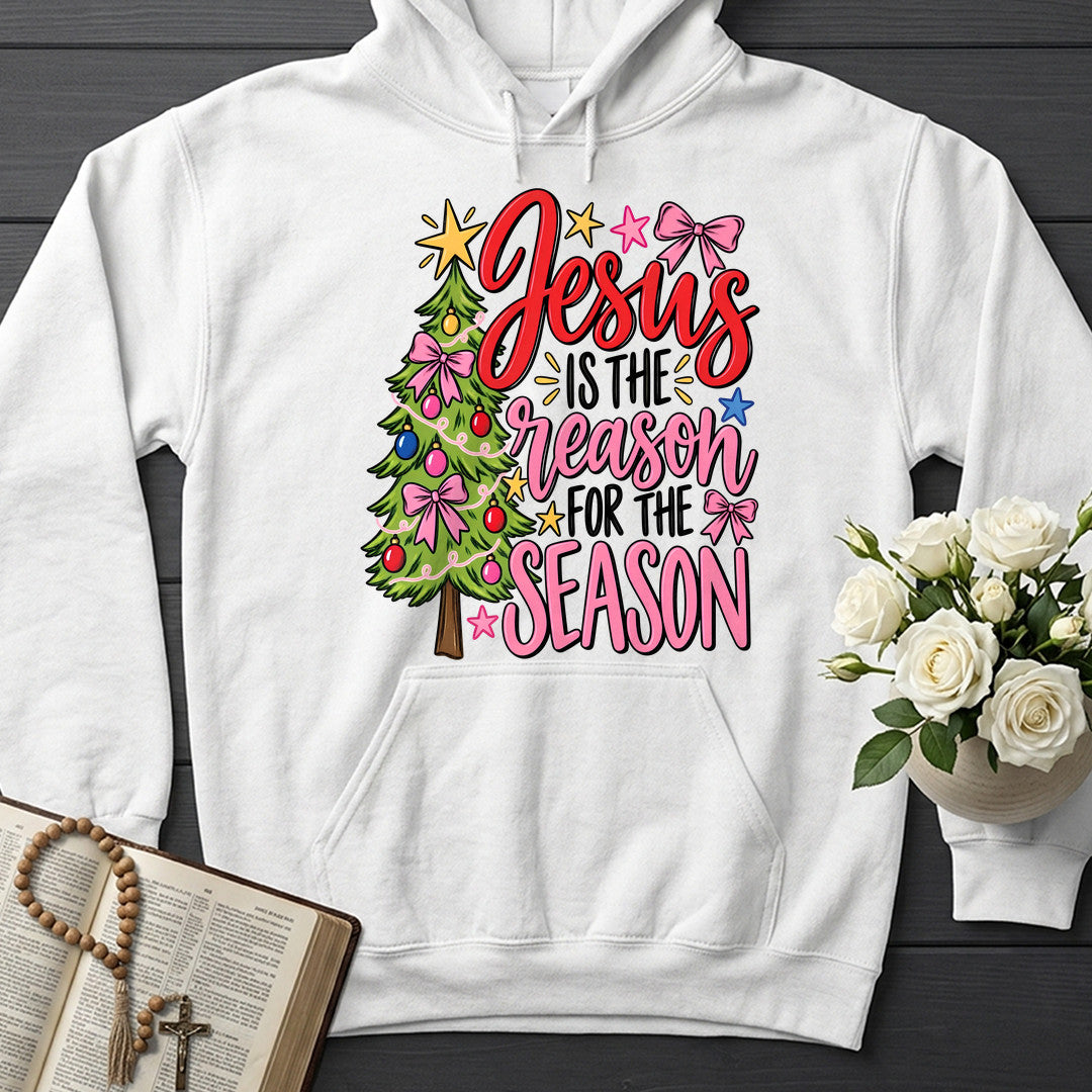 Jesus's Is The Reason For The Season 01