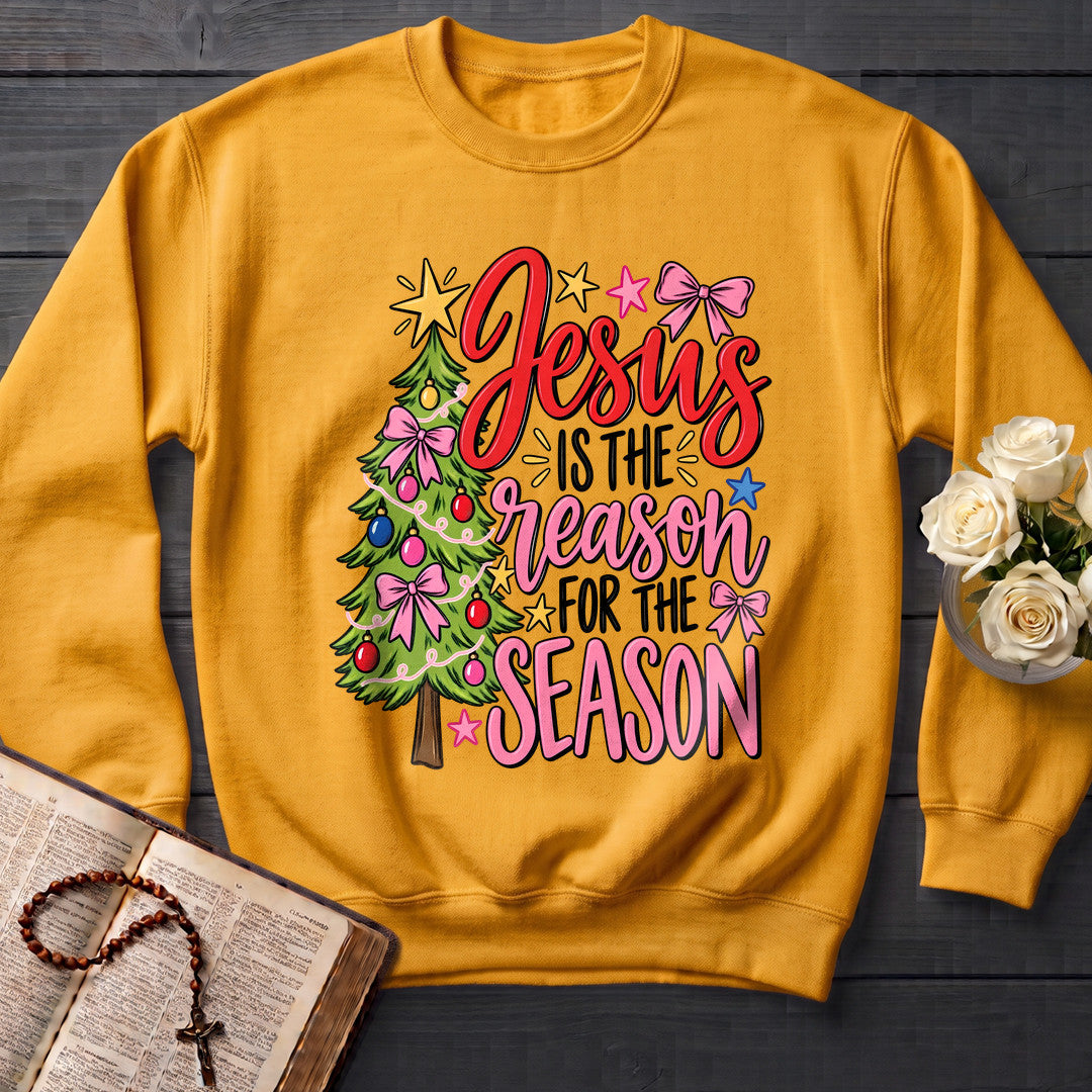Jesus's Is The Reason For The Season 01