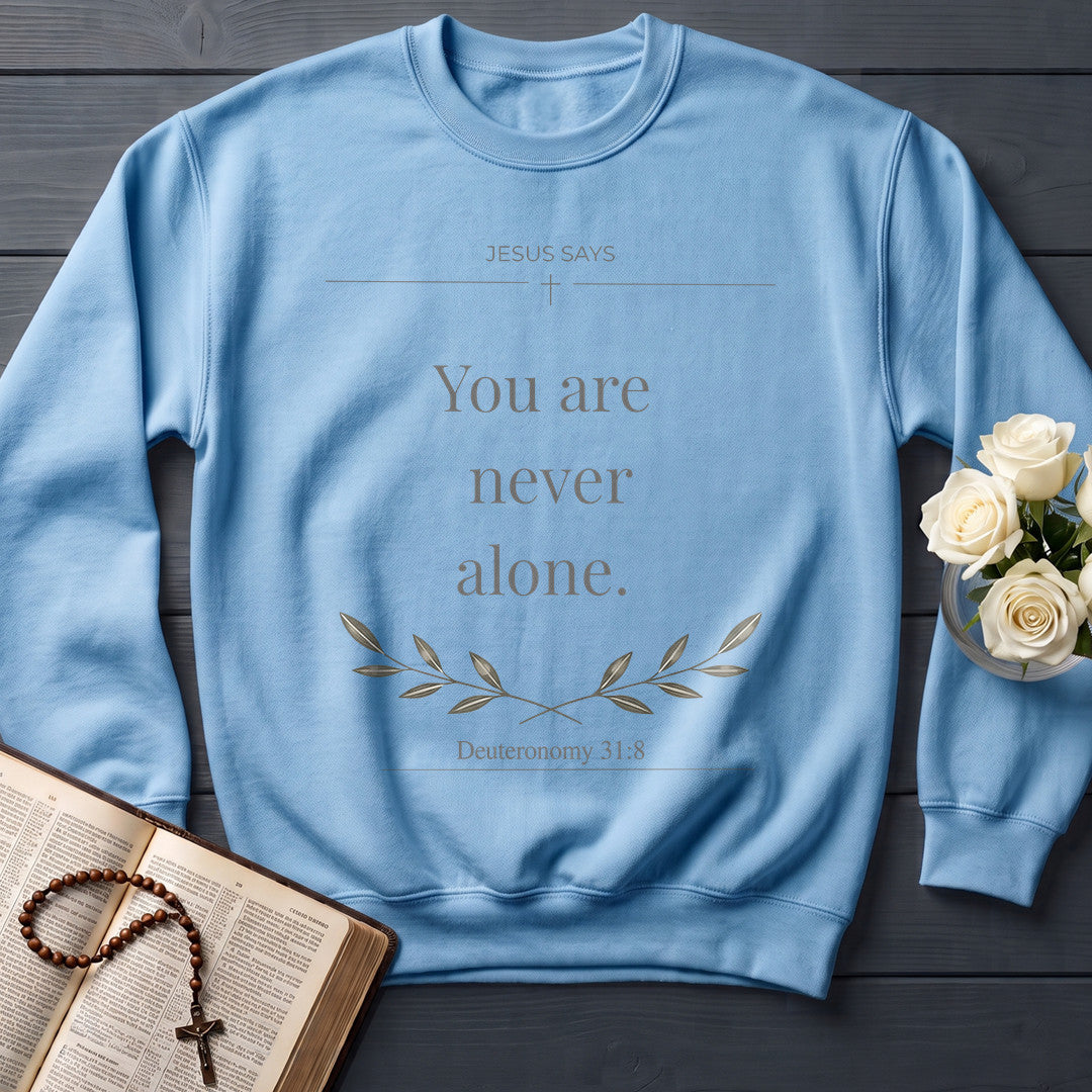 Jesus Says You Are Never Alone Deuteronomy 31.8 01