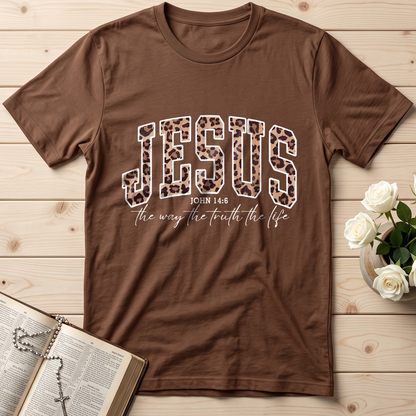 Jesus The Way The Truth The Life John 14.6 10