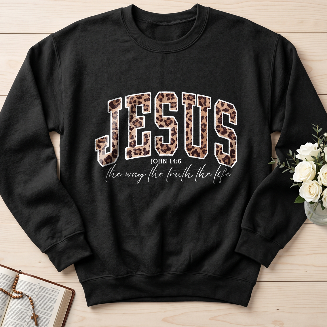 Jesus The Way The Truth The Life John 14.6 10