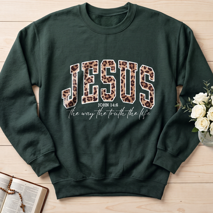 Jesus The Way The Truth The Life John 14.6 10