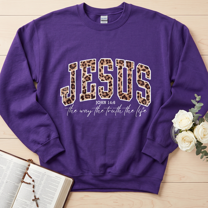 Jesus The Way The Truth The Life John 14.6 10
