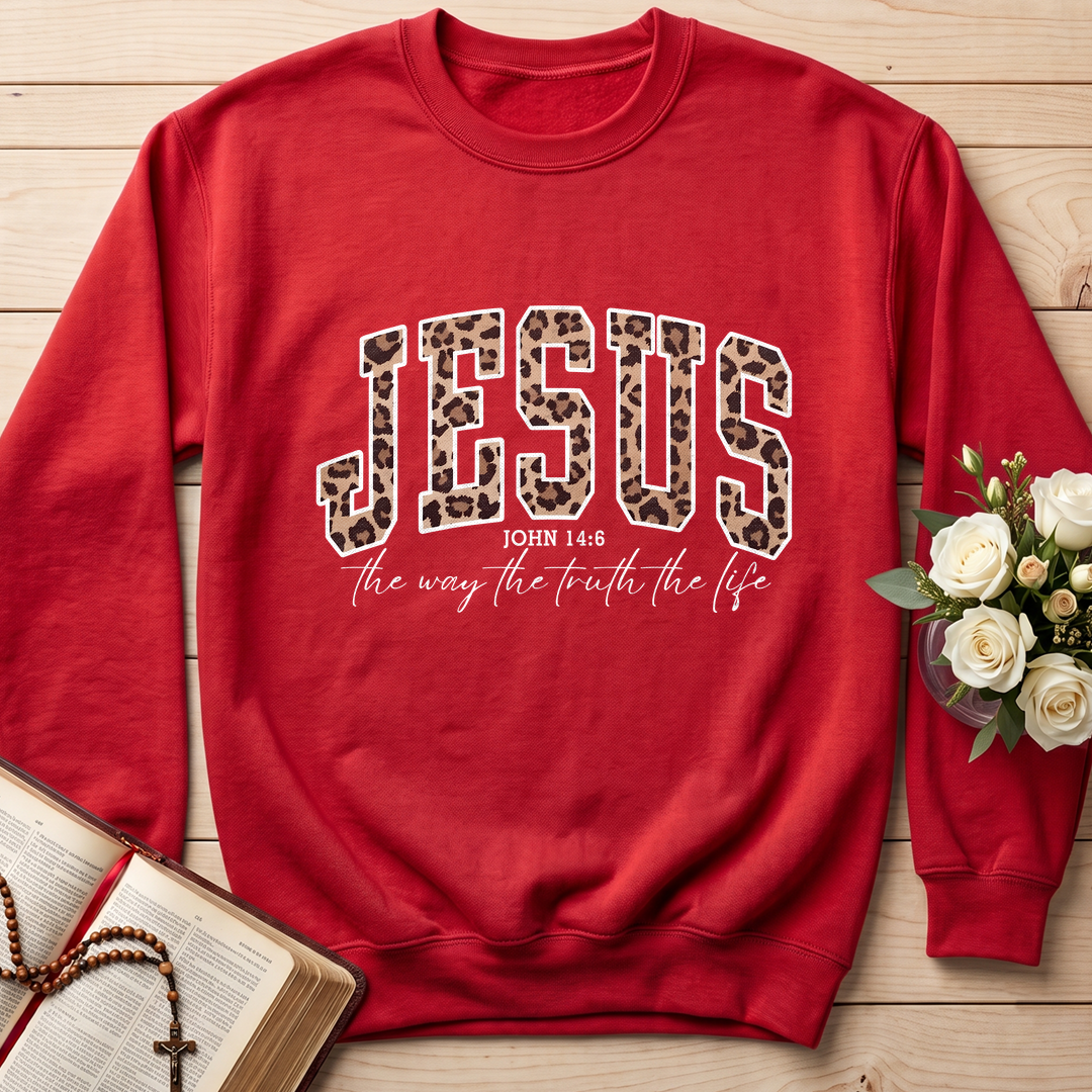 Jesus The Way The Truth The Life John 14.6 10