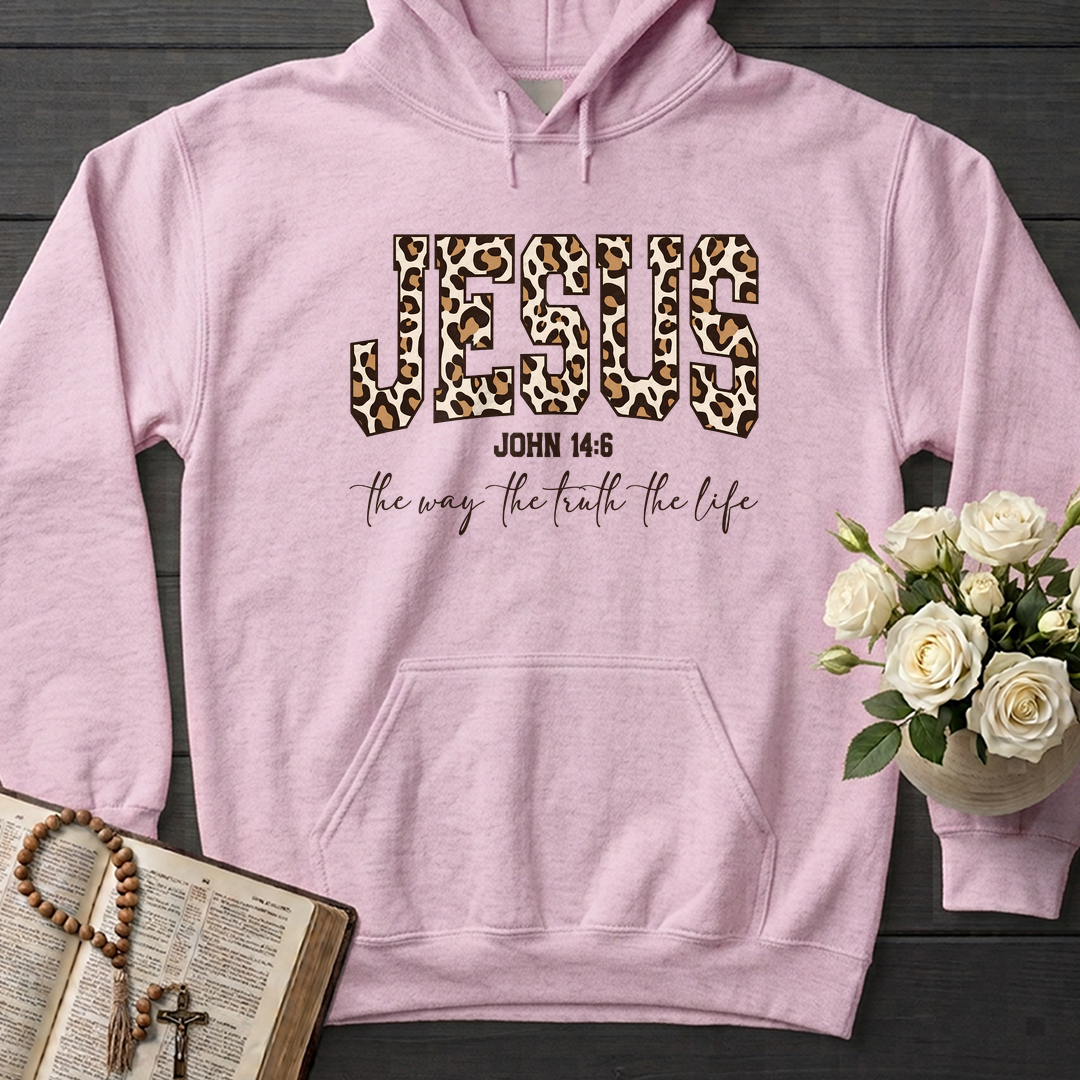 Jesus The Way The Truth The Life John 14.6 11