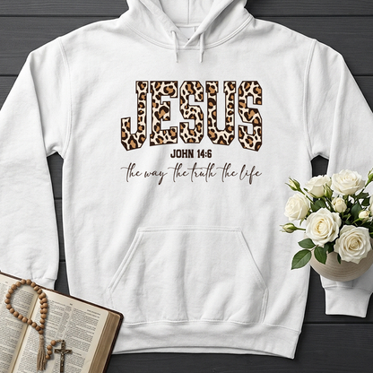 Jesus The Way The Truth The Life John 14.6 11