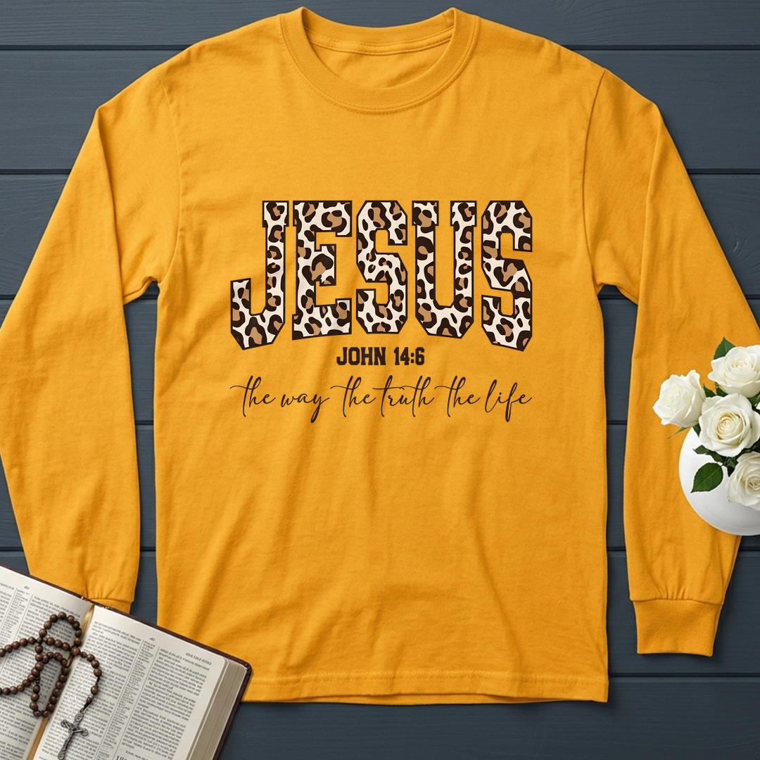 Jesus The Way The Truth The Life John 14.6 11