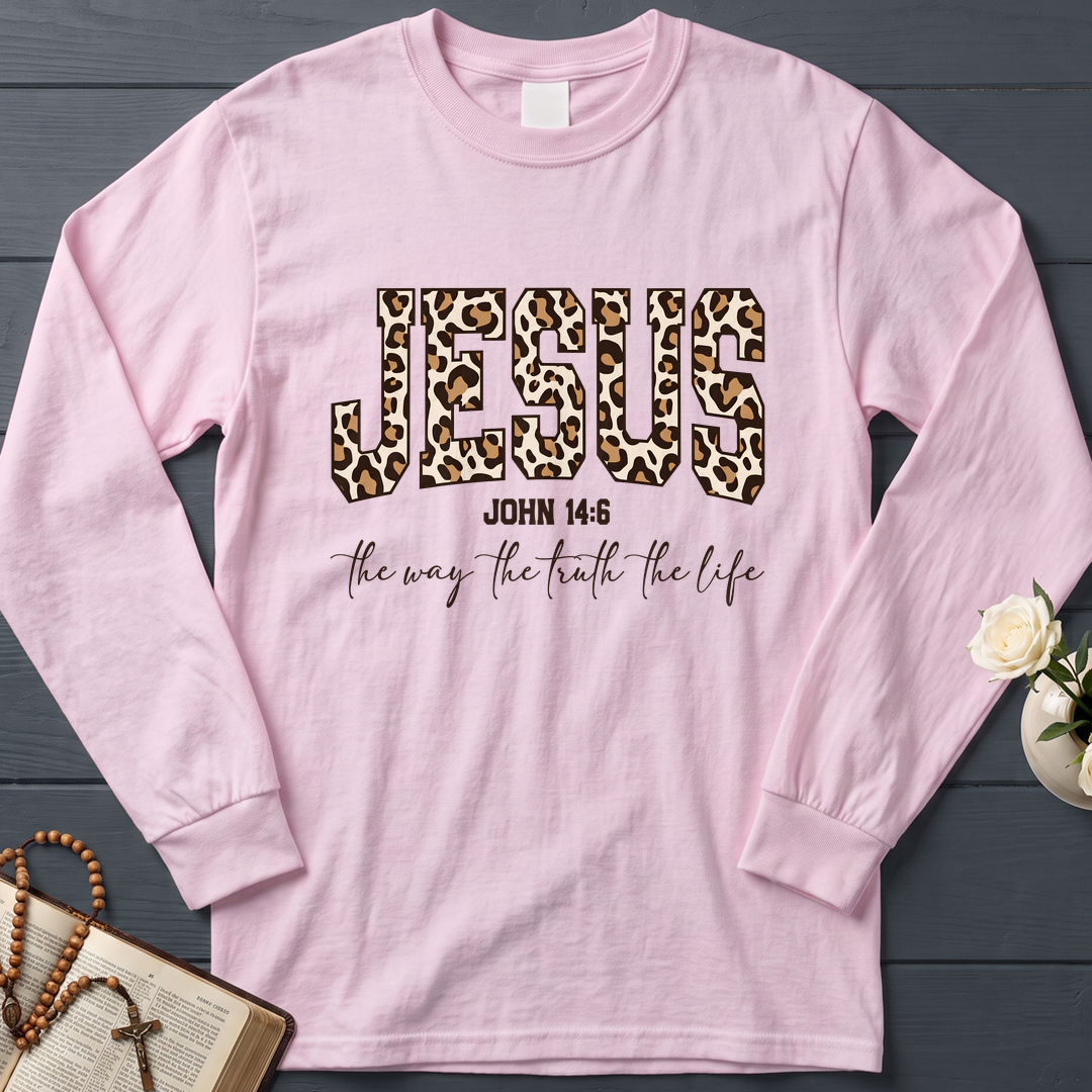 Jesus The Way The Truth The Life John 14.6 11