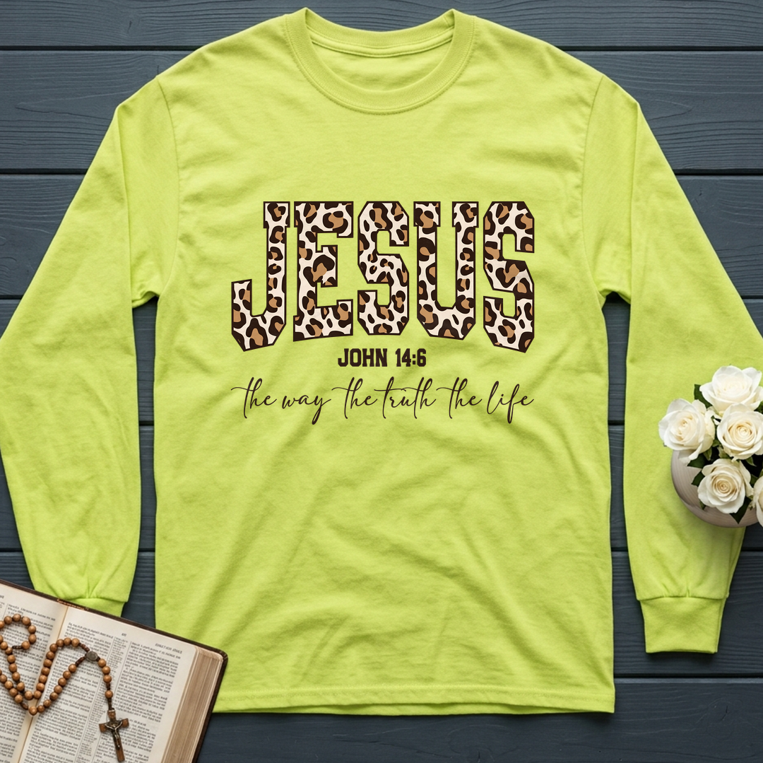 Jesus The Way The Truth The Life John 14.6 11