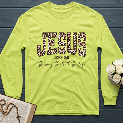 Jesus The Way The Truth The Life John 14.6 11