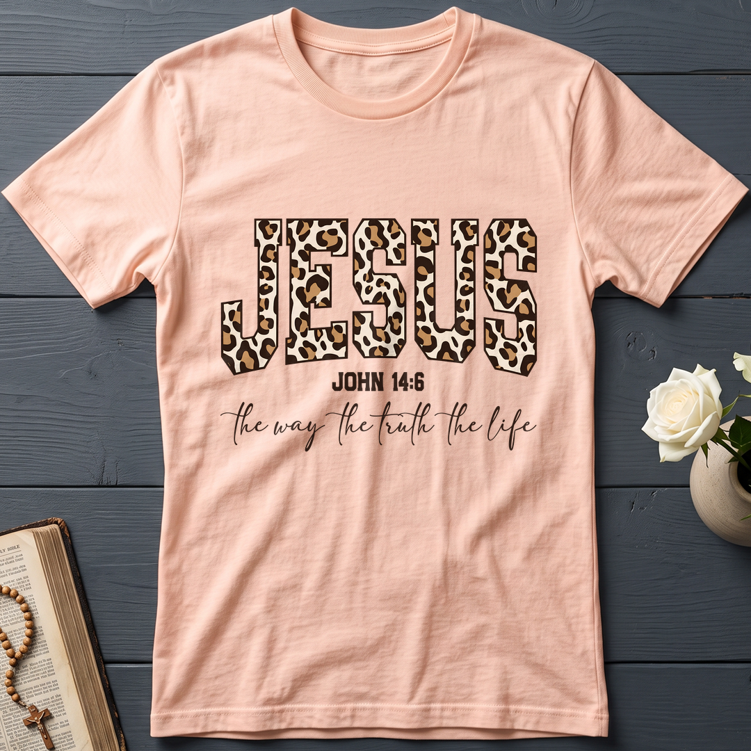 Jesus The Way The Truth The Life John 14.6 11