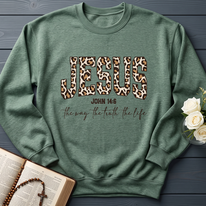 Jesus The Way The Truth The Life John 14.6 11