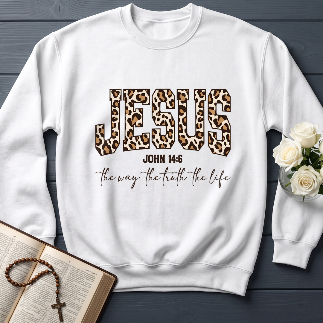 Jesus The Way The Truth The Life John 14.6 11